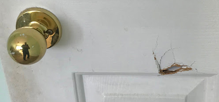 interior door hole repair Grass Valley